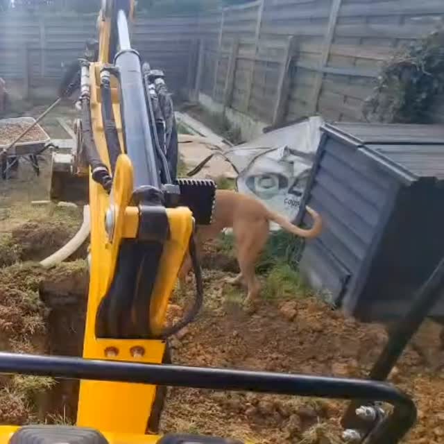 PLEIN LE DOS
Vous n’avez pas les outils à la hauteur de vos travaux extérieurs, pensez à la location : mini-pelle, broyeurs, tronçonneuses, taille-haie, débroussailleuses, motoculteurs,… nous avons tous et vous pouvez directement réserver en ligne : https://motoculture2roues.lokki.rent 😁
.
#motoculture2roues44 #location #pleinledos #cavaetreplussimplecommeca