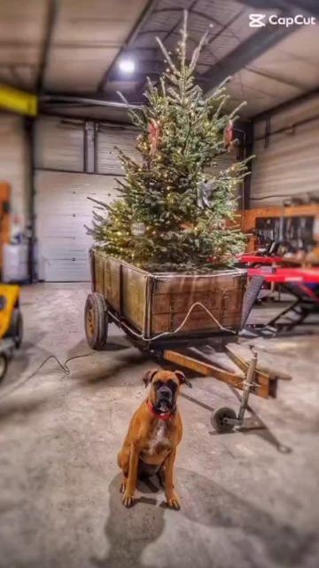 🎄✨ Bonnes fêtes de fin d’année ! ✨🎄

Uska et l’ensemble de l’équipe Motoculture 2 Roues 44 vous souhaitent de très belles fêtes de fin d’année, pleines de joie et de bons moments.

📅 Fermeture annuelle : du 24 décembre au 1er janvier inclus.

On se retrouve très bientôt pour démarrer la nouvelle année ensemble !

#motoculture #fetesdefindannee #bonnesfetes #finannee #entrepriselocale professionnels jardinage espacesverts 2roues merci